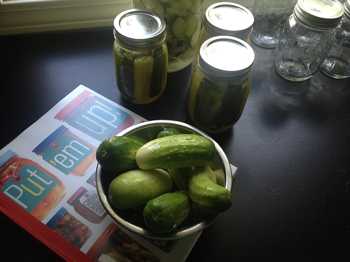 Put em Up Guide to Pickling and Preserving